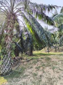 Agricultural-Land-for-sale-Sungai-Siput-Perak
