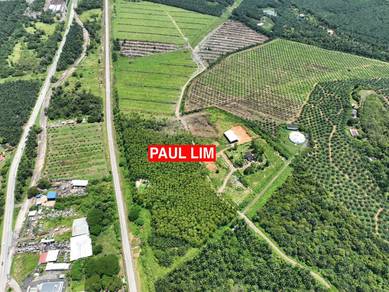 Agricultural-Land-for-sale-Bedong-Kedah