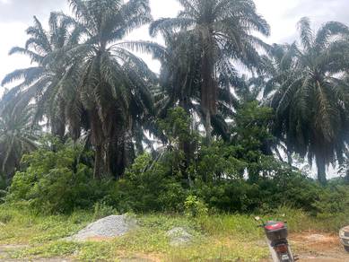 Tanah Pertanian bukit untuk di jual di Lorong Setia 3 Kuang, Selangor