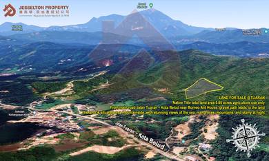 Agriculture 5.85 Acres NT Land Jalan Tuaran - Kota Belud