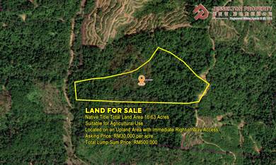 Agriculture 16.63 Acres NT Land Ulu Kimanis Papar