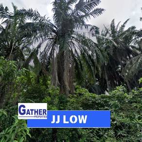Residential-Land-for-sale-Kuala-Ketil-Kedah