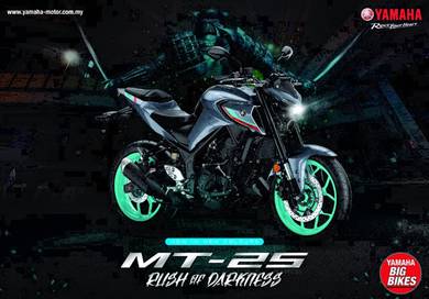 Yamaha MT250 2024 Motorcycles for sale in Penang Mudah.my