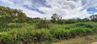 Agricultural-Land-for-sale-Jeli-Kelantan