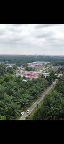 Agricultural-Land-for-sale-Banting-Selangor