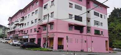Taman Royal Lily