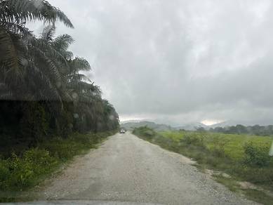 Agricultural-Land-for-rent-Bandar-Baharu-Kedah