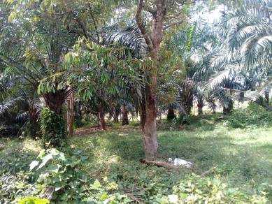 1.1 acre Agri Land at Linggi, Port Dickson, N. Sembilan