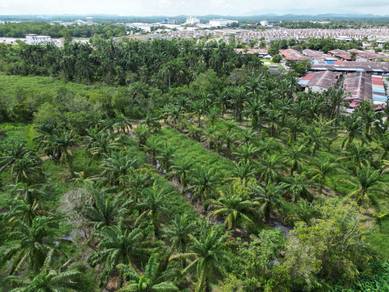 Agricultural-Land-for-sale-Kuala-Ketil-Kedah
