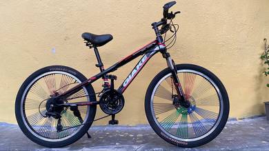 Mudah basikal mountain bike sale