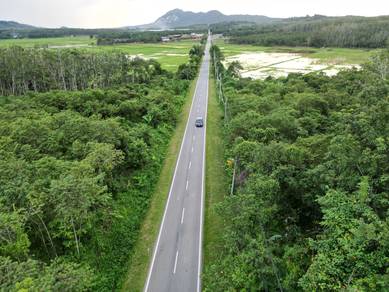 Agricultural-Land-for-sale-Jitra-Kedah