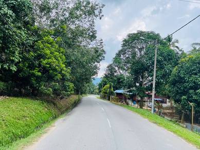 Selandar / Jasin Freehold oil palm, bird nest land for sale