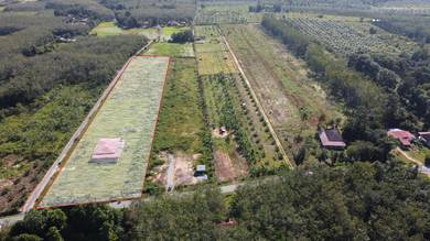Agricultural-Land-for-sale-Pokok-Sena-Kedah-1