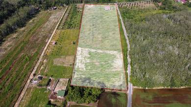 Agricultural-Land-for-sale-Pokok-Sena-Kedah-3