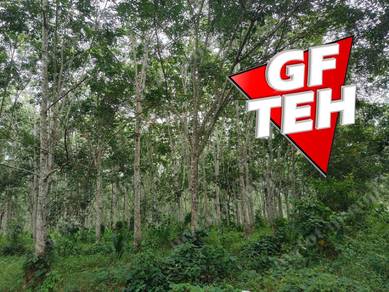 Agricultural-Land-for-sale-Sauk-Perak