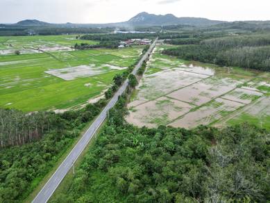 Agricultural-Land-for-sale-Jitra-Kedah