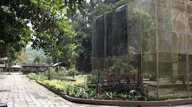 3 Acres Land at Sungai Penchala