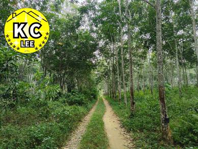 Agricultural-Land-for-sale-Sauk-Perak
