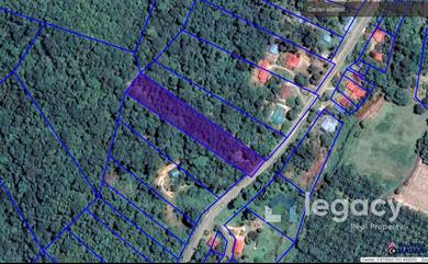 Agricultural-Land-for-sale-Slim-River-Perak