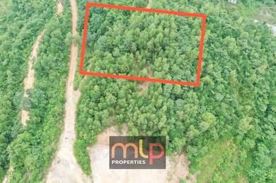 Tanah Pertanian Seremban Non Bumi For Sale {WTS Agricultural Land}