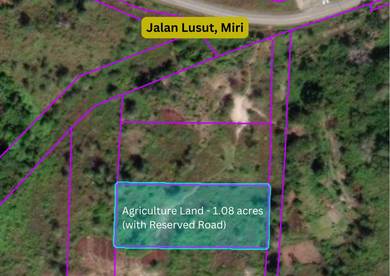 Agriculture Land with Reserved Road Lusut Miri
