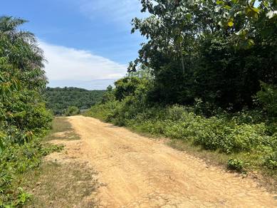 Rembau, Kota, Tampin freehold durian farm for sell