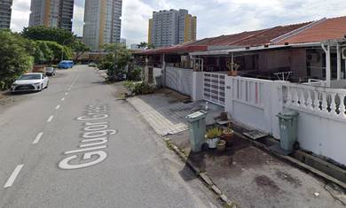 Single Storey Terrace Land1610sf Renovated Glugor Green Taman Jelutong