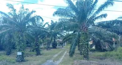 Bagan Datuk Freehold Main Road Land