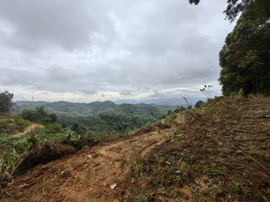 Agricultural-Land-for-sale-Kuala-Pilah-Negeri-Sembilan