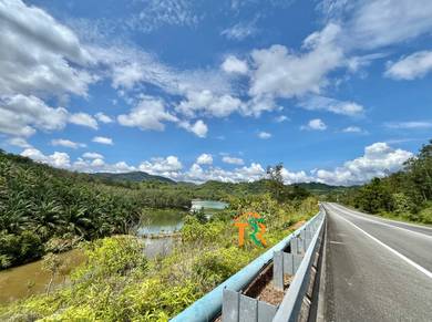 Agricultural-Land-for-sale-Sik-Kedah