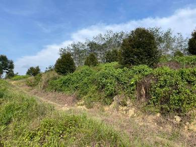Nice Durian Farm Near Jelebu Kuala Klawang For Sale