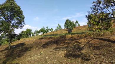 Agricultural-Land-for-sale-Jelebu-Negeri-Sembilan-3