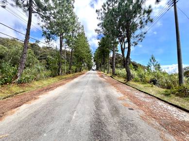 CL Land | 0.5 acre | Residential | Mesilau Golf Course | Kundasang |