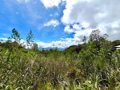 CL Land | 0.5 acre | Residential | Mesilau Golf Course | Kundasang |
