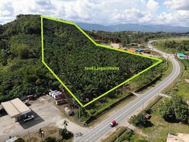 Keningau nabawan Tawau (Roadside) Palm Oil Land. CL15acs