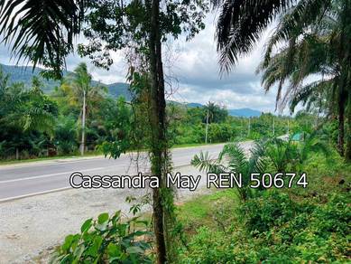 Freehold Main Road Frontage 58 acres Oil Palm Land at Bahau Ayer Hitam