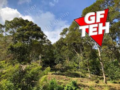 Agricultural-Land-for-sale-Balik-Pulau-Penang
