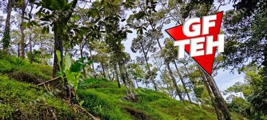 Agricultural-Land-for-sale-Balik-Pulau-Penang