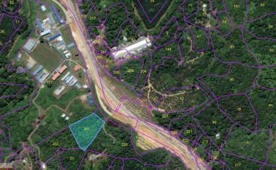 Nice Hilly Orchard Land for Sale Sarikei