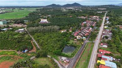 Agricultural-Land-for-rent-Bertam-Penang