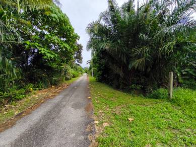 Agricultural-Land-for-sale-Salak-Tinggi-Selangor-1