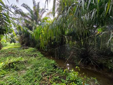 Agricultural-Land-for-sale-Salak-Tinggi-Selangor-3