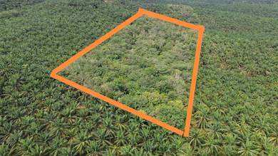 Agricultural-Land-for-sale-Ipoh-Perak