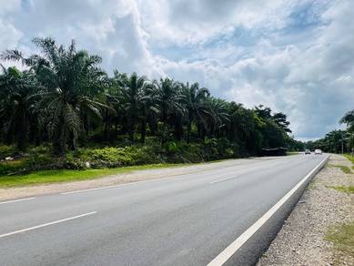 Freehold oil palm land for sale (main road) investment