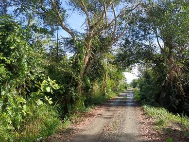 Residential-Land-for-sale-Papar-Sabah