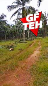 Agricultural-Land-for-sale-Sungai-Siput-Perak