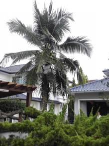 Bungalow-House-for-sale-Bukit-Tambun-Penang