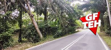 Agricultural-Land-for-rent-Bukit-Mertajam-Penang