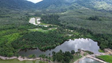 Fish Pond Durian farm Simpang Pertang