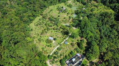 Agricultural-Land-for-sale-Ipoh-Perak